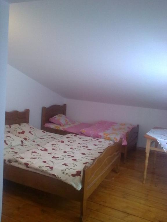Pensiunea Scarisoara Ghetari Room photo